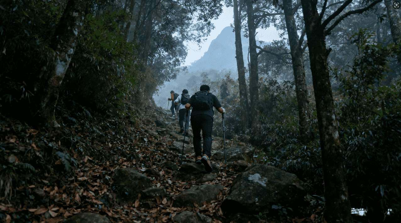 黑洞加速器闪退原因分析与全面解决方案指南